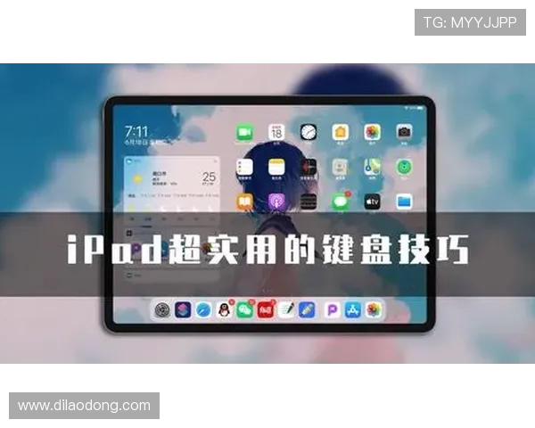 Z6用现：提升Z6相机拍摄效果的实用设置与调试方法