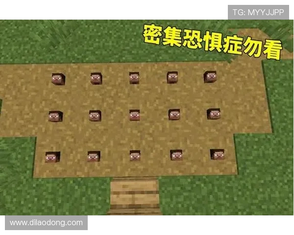 凯时备用平台提供的多样化游戏资源满足不同玩家的个性化需求
